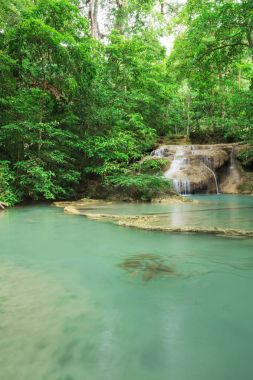 Neolissochilus stracheyi Seviye 1 Erawan şelale ben balık