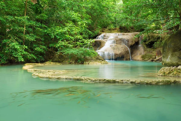 Level 1 of Erawan Waterfall with Neolissochilus stracheyi fish i — Stock Photo, Image