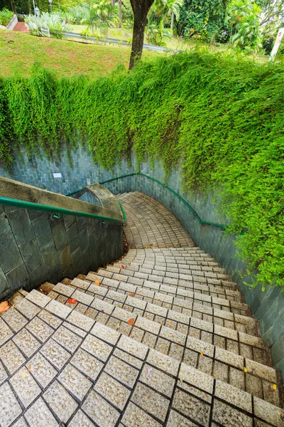 Scara de trecere subterană la Fort Canning Park, Singapore — Fotografie, imagine de stoc