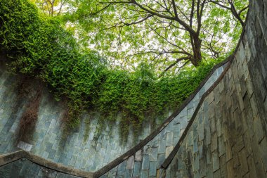 Fort Canning Parkı, Singapur geçiş underground
