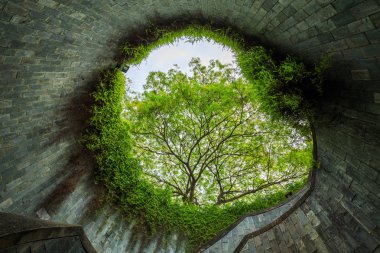 Fort Canning Parkı, Singapur geçiş underground