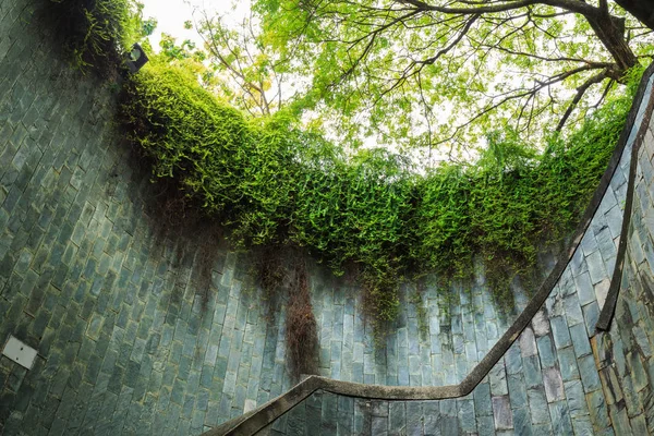 Fort Canning Parkı, Singapur geçiş underground — Stok fotoğraf