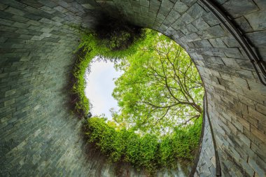 Fort Canning Parkı, Singapur geçiş underground