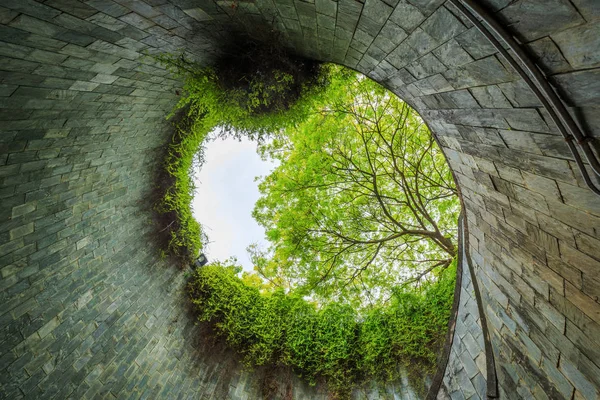 Fort Canning Parkı, Singapur geçiş underground