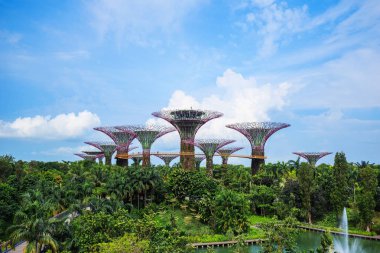 Singapur körfezindeki bahçeler