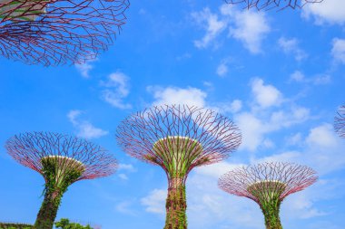 Singapur körfezindeki bahçeler