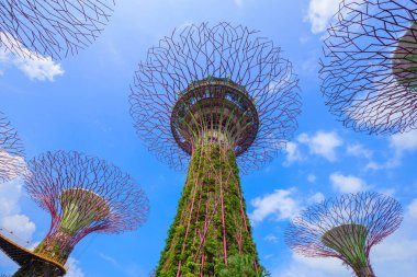 Singapur körfezindeki bahçeler