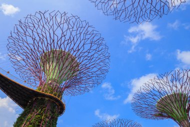 Singapur körfezindeki bahçeler