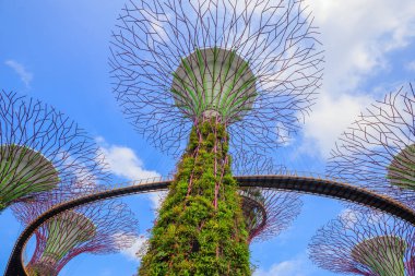 Singapur körfezindeki bahçeler