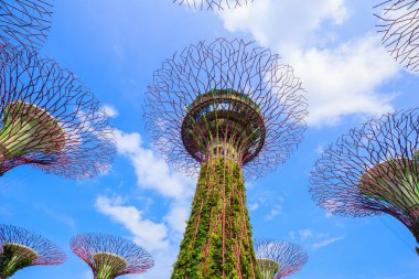 Singapur körfezindeki bahçeler