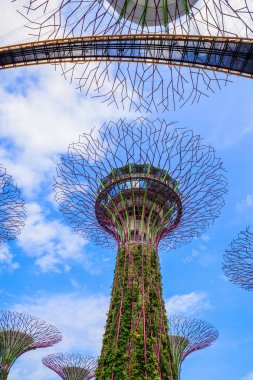 Singapur körfezindeki bahçeler