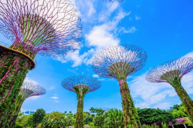 Singapur 'da gökyüzü olan körfez kenarında bahçeler