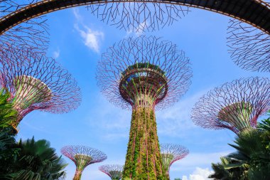 Singapur körfezindeki bahçeler