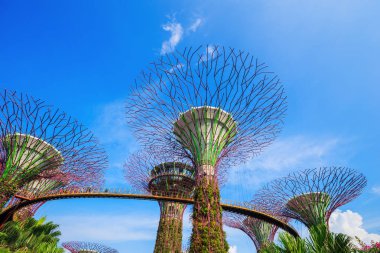 Singapur körfezindeki bahçeler