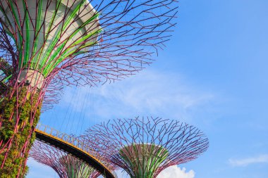 Singapur körfezindeki bahçeler