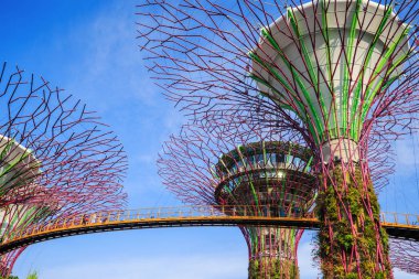 Singapur körfezindeki bahçeler