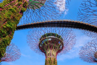 Singapur körfezindeki bahçeler