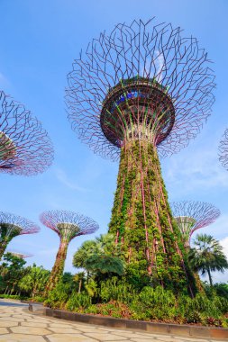 Singapur körfezindeki bahçeler
