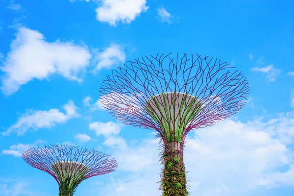 Ogrody przy zatoce Singapur — Zdjęcie stockowe