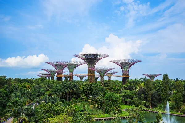 Singapur körfezindeki bahçeler