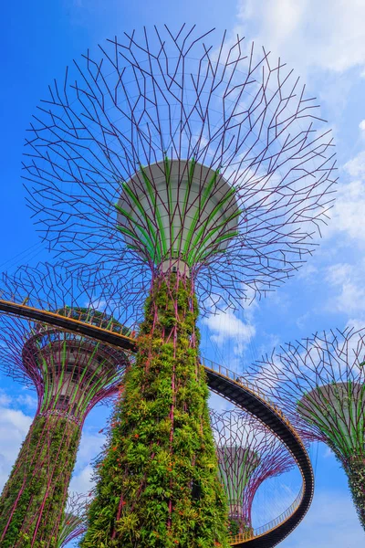 Singapur körfezindeki bahçeler