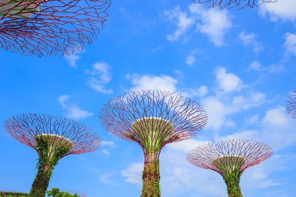 Singapur körfezindeki bahçeler