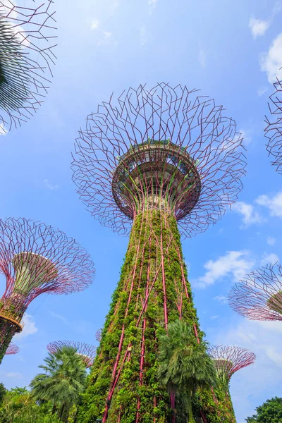 Singapur körfezindeki bahçeler