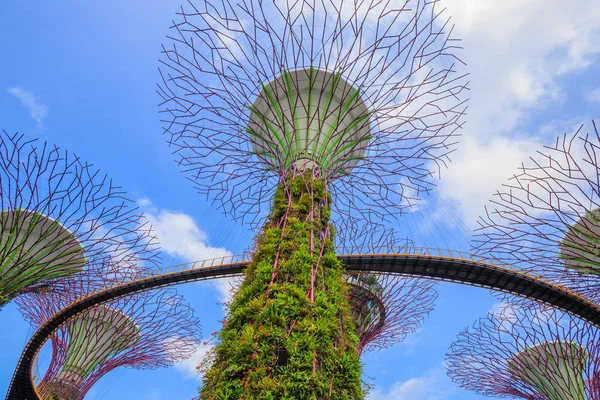 Singapur körfezindeki bahçeler