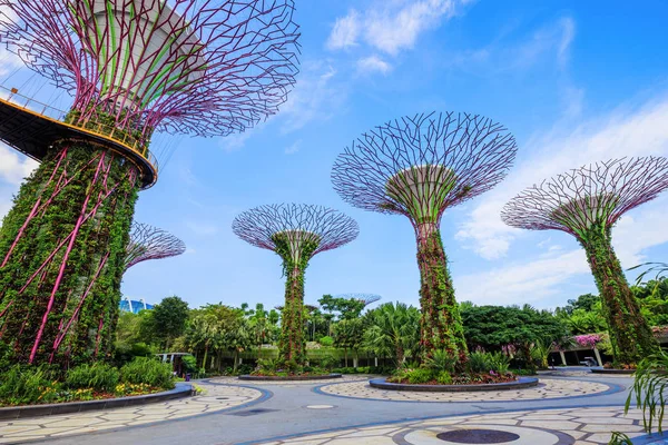 Singapur körfezindeki bahçeler