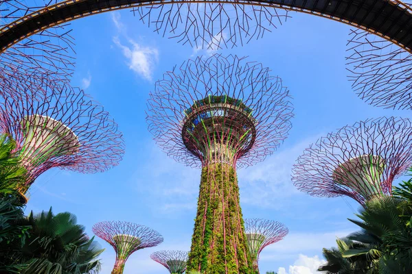 Singapur körfezindeki bahçeler