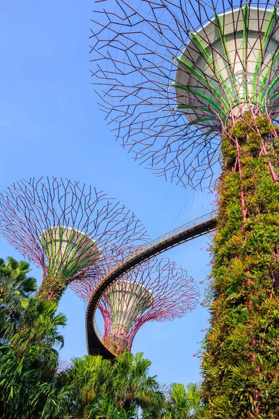 Singapur körfezindeki bahçeler