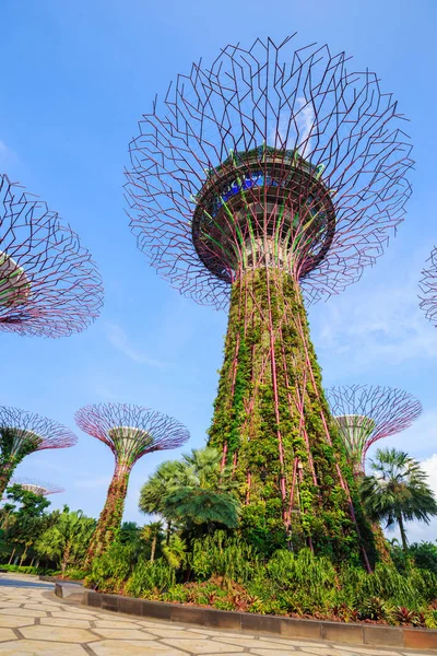 Singapur körfezindeki bahçeler