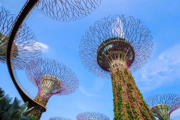 Singapur körfezindeki bahçeler