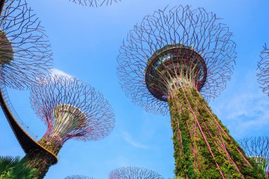 Singapur körfezindeki bahçeler