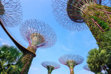 Singapur körfezindeki bahçeler