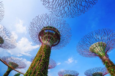 Singapur körfezindeki bahçeler