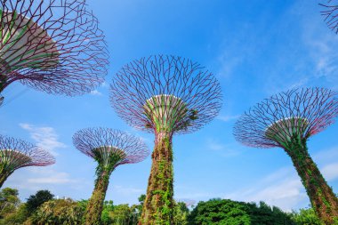 Singapur körfezindeki bahçeler