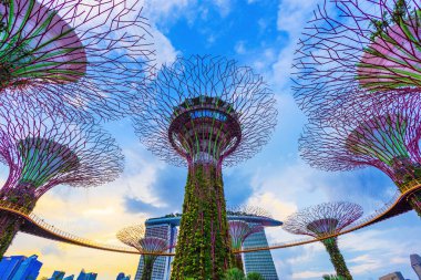 Alacakaranlıkta körfez kenarında bahçeler, Singapur 
