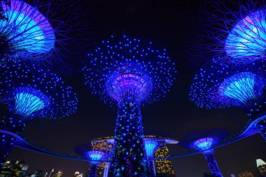 Geceleyin körfez kenarında bahçeler, Singapur