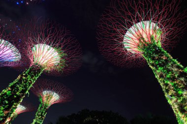 Geceleri körfez kenarında bahçeler, Singapur