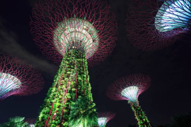 Geceleri körfez kenarında bahçeler, Singapur