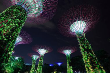 Geceleri körfez kenarında bahçeler, Singapur