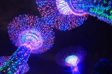 Geceleri körfez kenarında bahçeler, Singapur