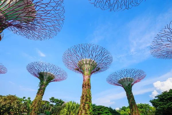 Singapur körfezindeki bahçeler