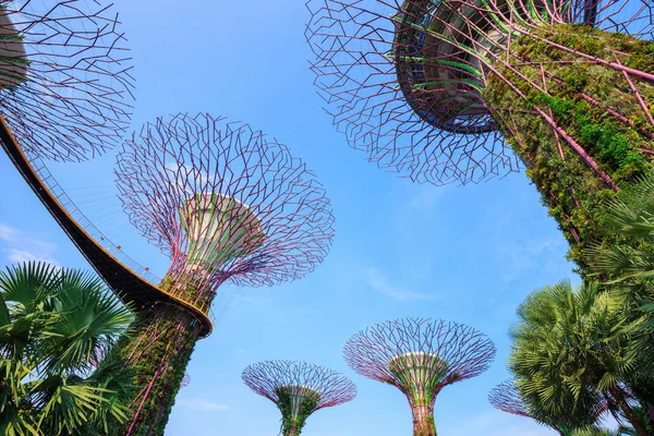 Singapur körfezindeki bahçeler