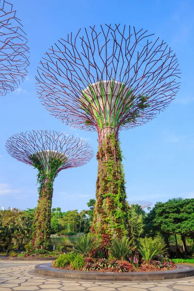 Singapur körfezindeki bahçeler