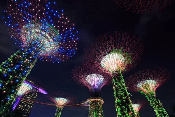 Jardines junto a la bahía por la noche, Singapur — Foto de Stock