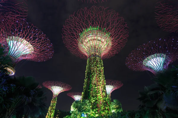 Gardens by the bay at night, Singapore — Stock Photo, Image