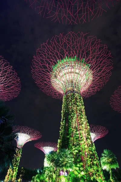 Jardines junto a la bahía por la noche, Singapur — Foto de Stock