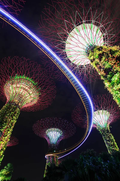 Geceleri körfez kenarında bahçeler, Singapur